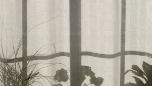 Read more about the article The Shadow a Crown Casts