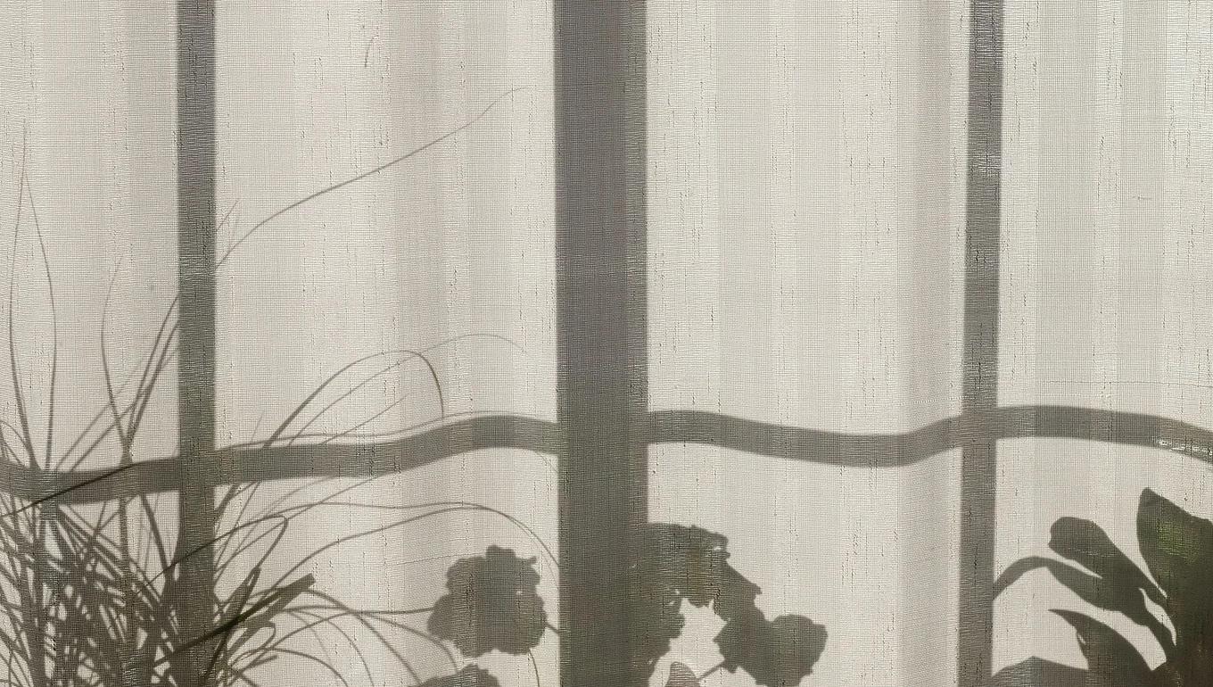 You are currently viewing The Shadow a Crown Casts