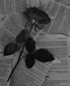 time could heal all but we have died within the pages