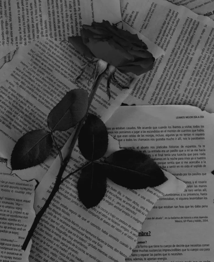Time could heal all but we have died within the pages